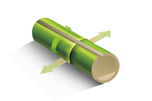 cptp16 玩彩网·「中国区」官方网站