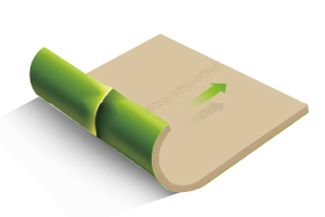 cptp17 玩彩网·「中国区」官方网站