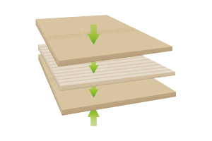 cptp19 玩彩网·「中国区」官方网站