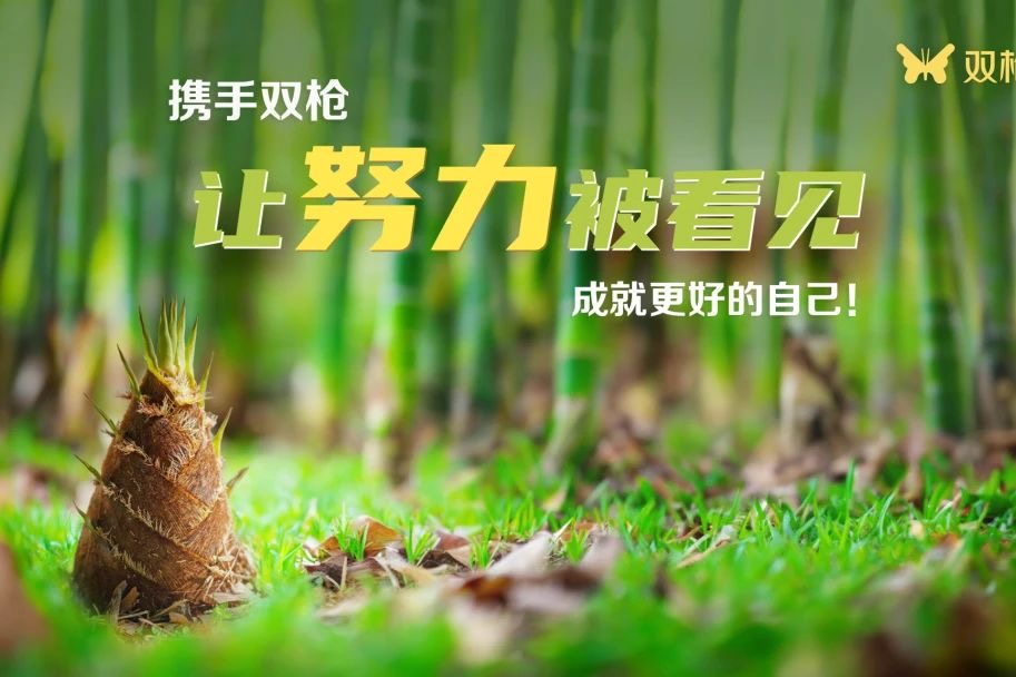 1741426493817225tHai.jpg IMG_3050.JPG